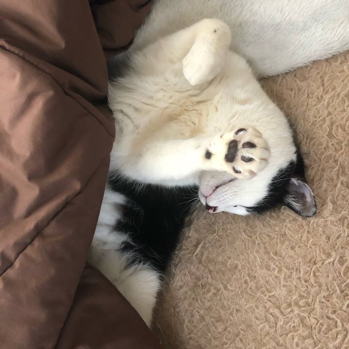 A0241d4b a4b0 4786 95e6 ccfa4e75b1d6 1553913983427