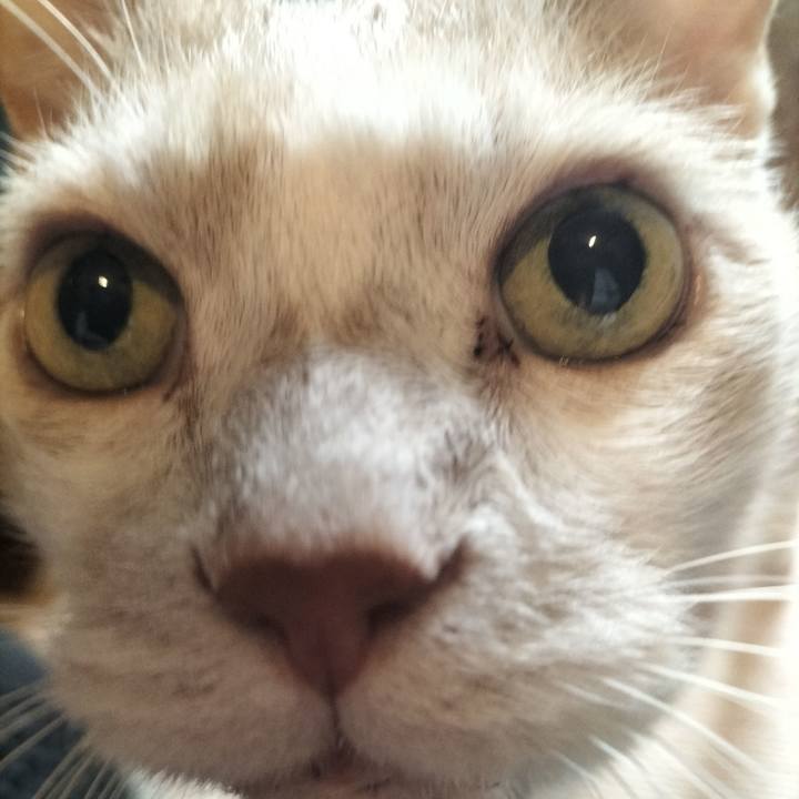 A024dd57 a344 4173 a052 230b3ece7a4e 1657319741591