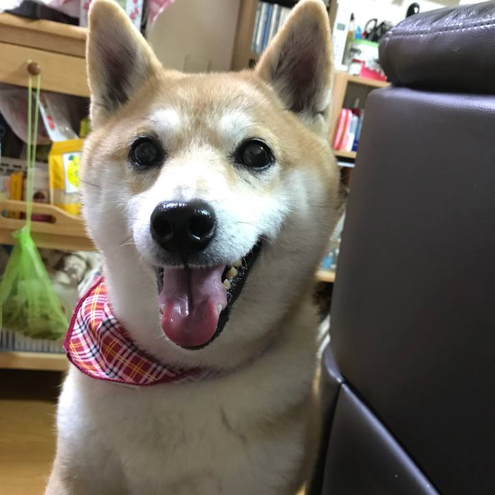 A02516a7 0c36 4fbd 97a5 67af8cfaa66e 1520336499167