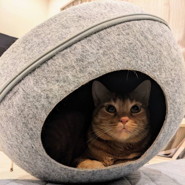 A0252189 3d43 450a a80e 563c7651719e 1641291555531