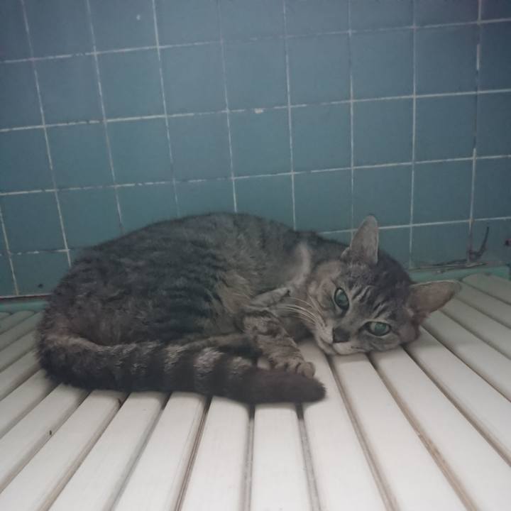 A02534f1 2d6d 4f04 bc76 3c88d9cfd11c 1589832653163