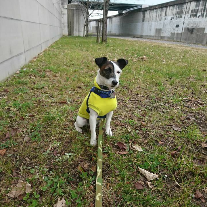 A0254698 e680 4384 adc8 210544f26cf1 1516405931549