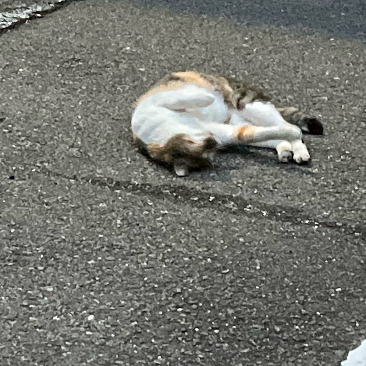 A0254f4a a142 4d18 8ba4 ea011093211a 1699265265123