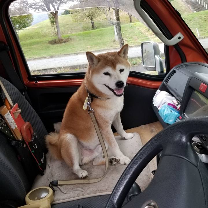 A0259ad2 30dd 4153 ba32 8ecd5e57eb6e 1663992329131