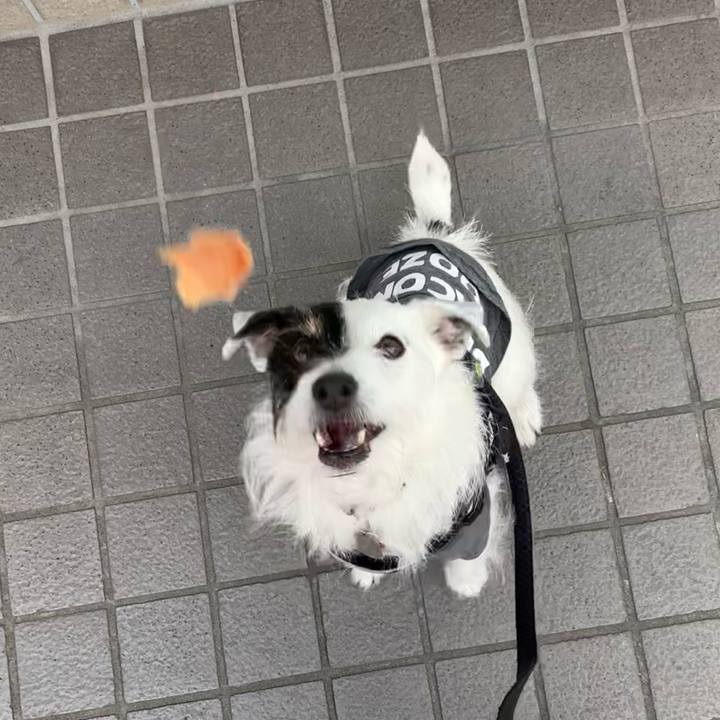 A025a606 3b2b 4364 8c36 976095d2b46d 1680481807762