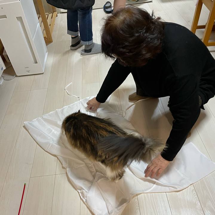 A025ae77 ca92 4711 b939 6a7dcf37a11e 1673166271038