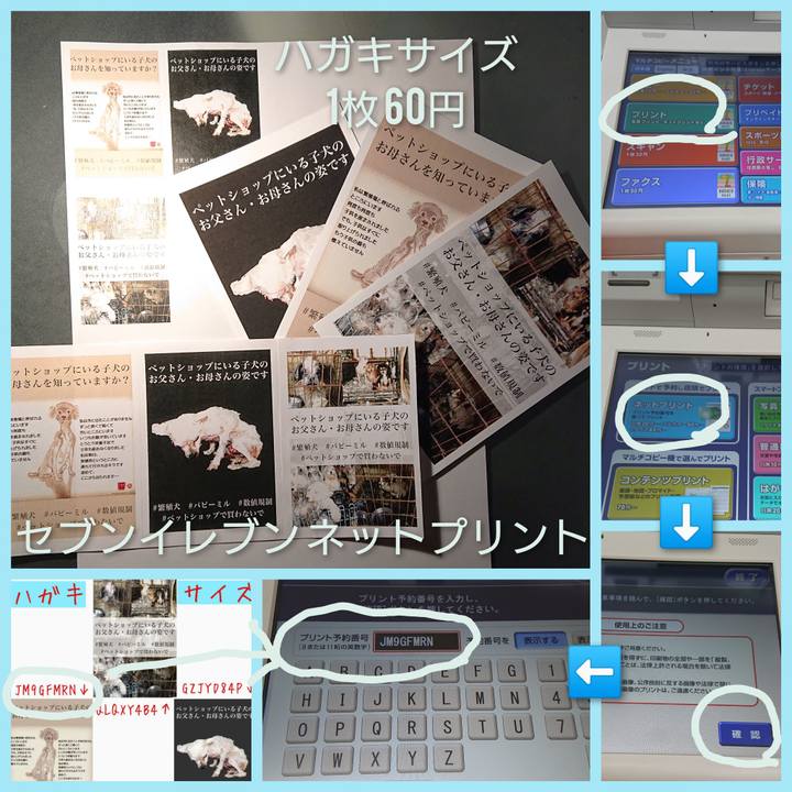 A025c6a6 8244 4c2e 9f42 10596c897e17 1610462497440