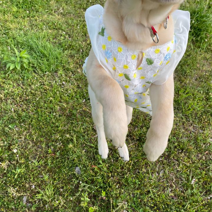 A025fd59 4ad0 4c76 ac34 0f406a3e1a6f 1618736767524