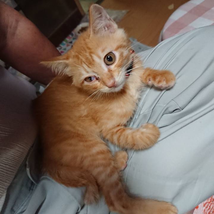 A026662b a6f9 4c11 a3f1 4c8426d8c52f 1629625162506