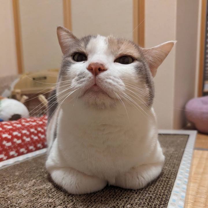 A0267be4 1620 437f 96c6 006529c87a4d 1713844663829