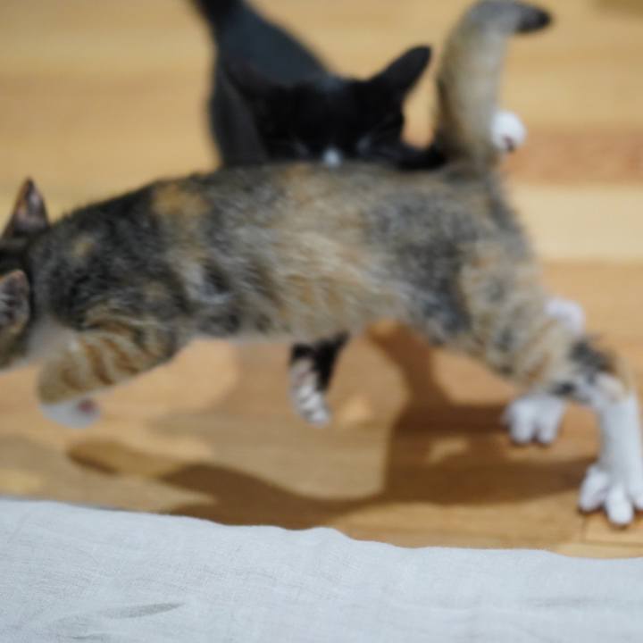 A0267ed1 e504 446e 9c30 e2ba74164803 1580125334493