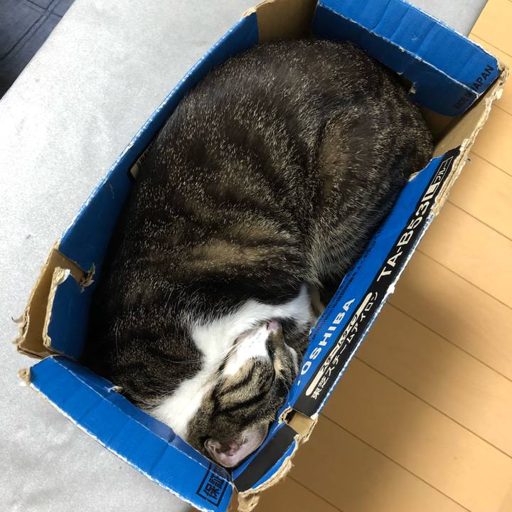 A02682ff a616 44f9 b0fb 2972e0708dab 1537464819270