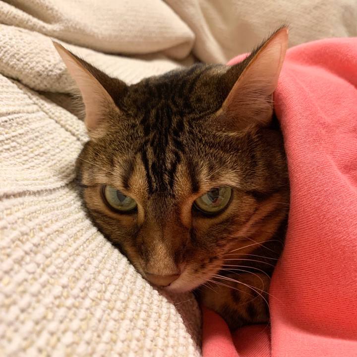 A026a5b8 fef8 4400 ae63 1487bb5e50c4 1603316049517