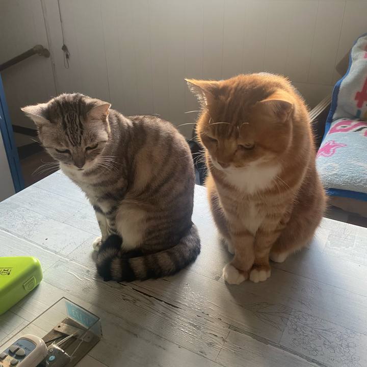 A026b3f7 35ec 428f 8144 a18e3c4cbed8 1697580522848