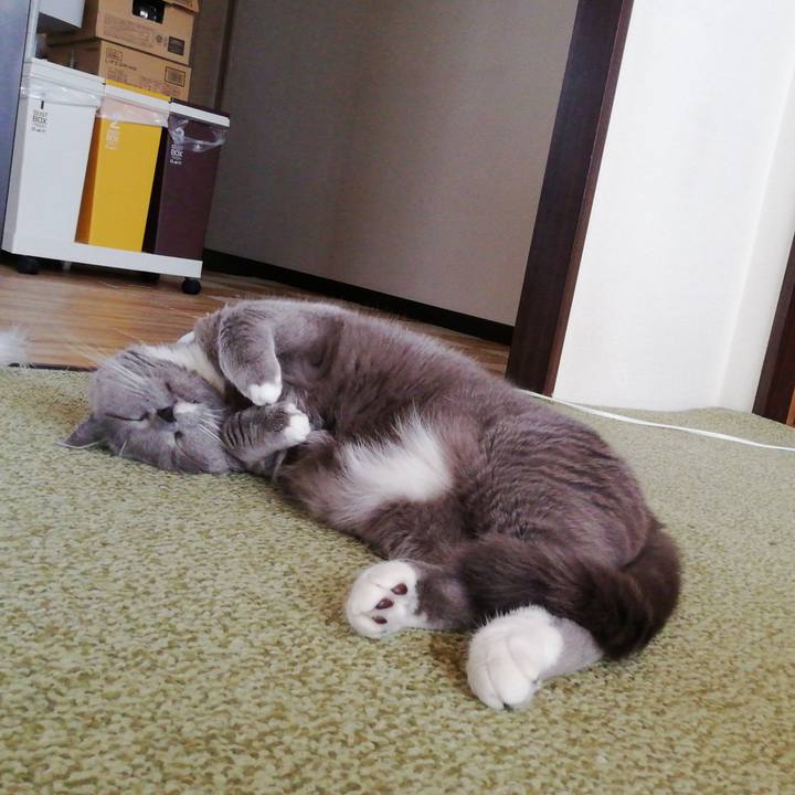 A02701a6 b2fb 41e2 b23e ab25323182ce 1716514939928