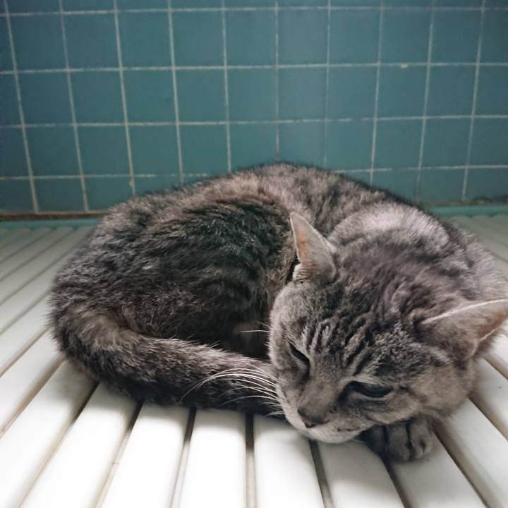 A0271800 ef17 44a5 8b6e b18723597365 1571695586658