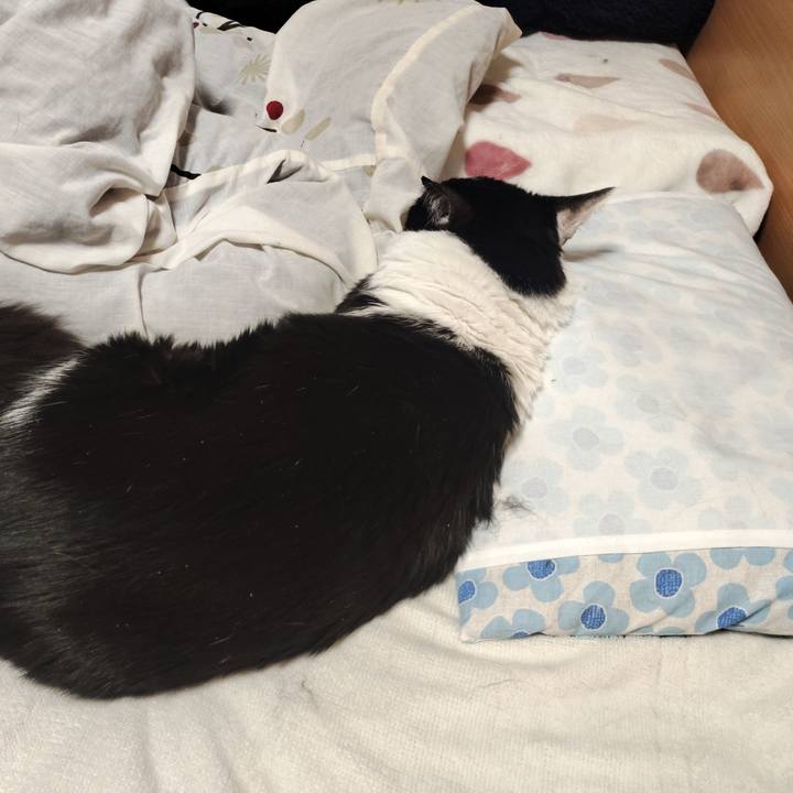 A0273a67 73ed 46f0 b2a3 b00f48485360 1768284413264