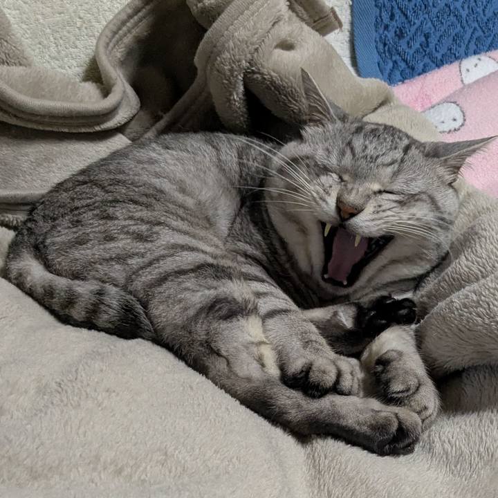 A0277ba8 e5ec 49e1 81a2 45700c705f35 1754491807616