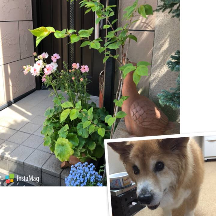 A0277fc3 3a53 4f0e a0bc a10c593f99a7 1522666895695