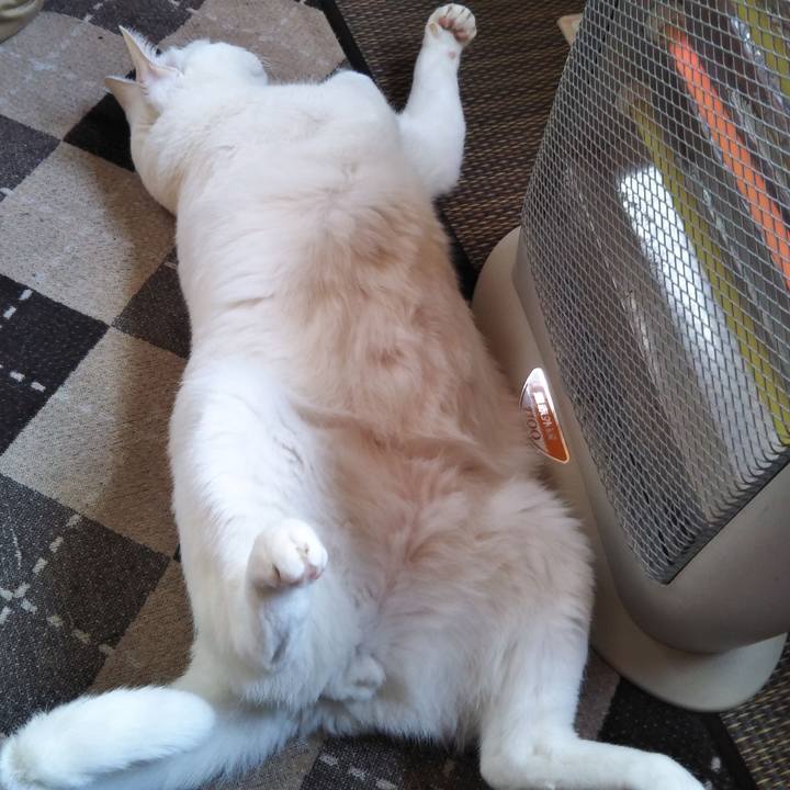 A0279e01 4b75 4863 8fc5 022f69a6c2c0 1580213540470