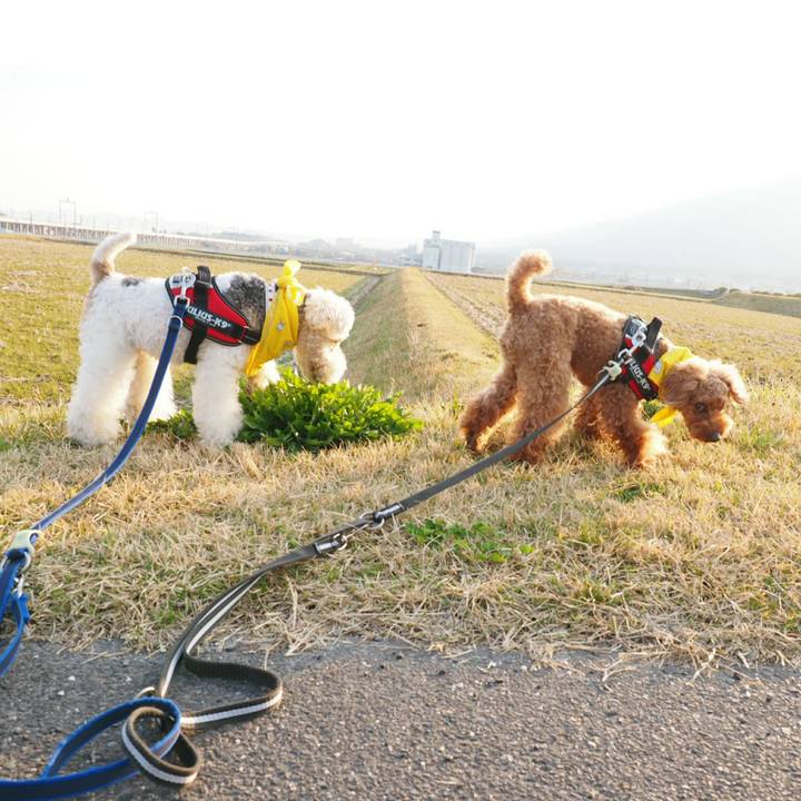 A0279f77 e776 4094 8eec 1e0855613f4c 1522396187425