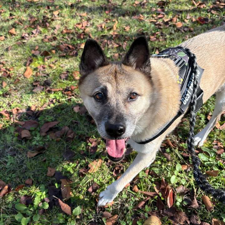 A027d19c 5752 44e7 a5f5 3ae3a38374a8 1763123315579