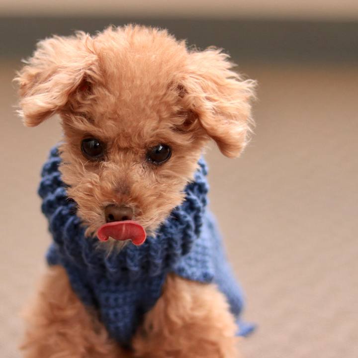 A02824bd f771 484f 8eb1 a25a81d3891d 1667725524245