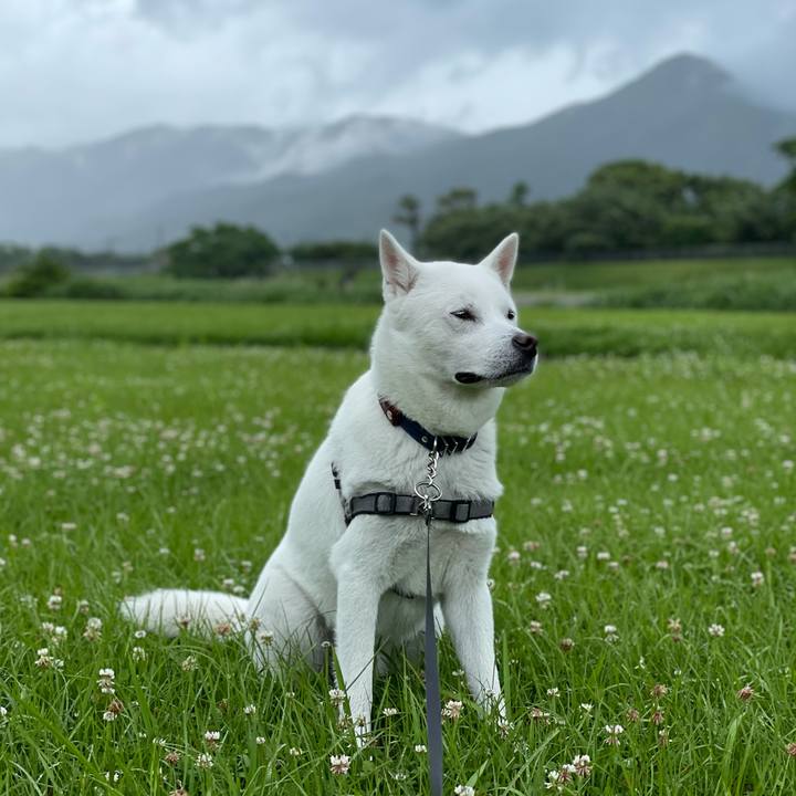 A028ac8c fe47 45bc 8dde d238a4e434a9 1622704779104