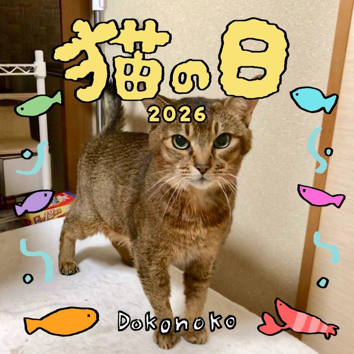 A028d277 4794 4ee9 a48a 21eb46ba14f9 1771776253992