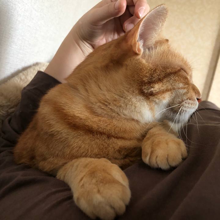 A028e9dd b88c 44b3 b088 85e7ad799f45 1634160678162