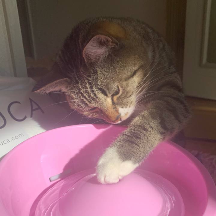 A028f829 da30 43bd ac25 e05117f06081 1582322858952