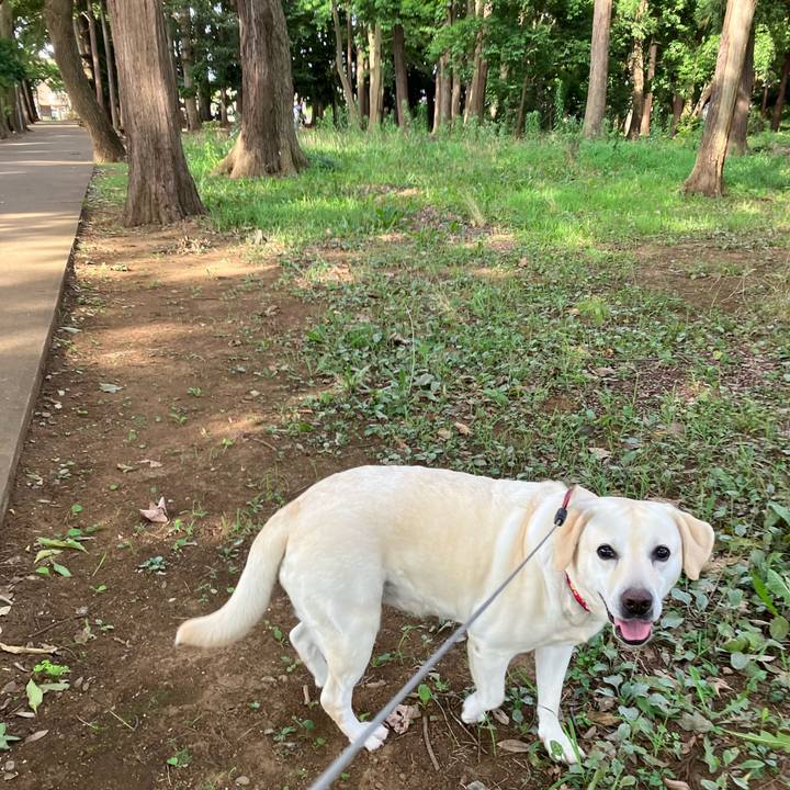 A028fc33 0f63 42fd 8ab3 f69292cd3bed 1657397477931