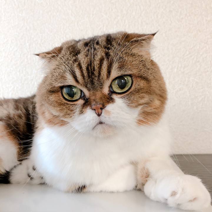 A0290390 e6f1 400a 8f9b 4b6f95839549 1570340867006