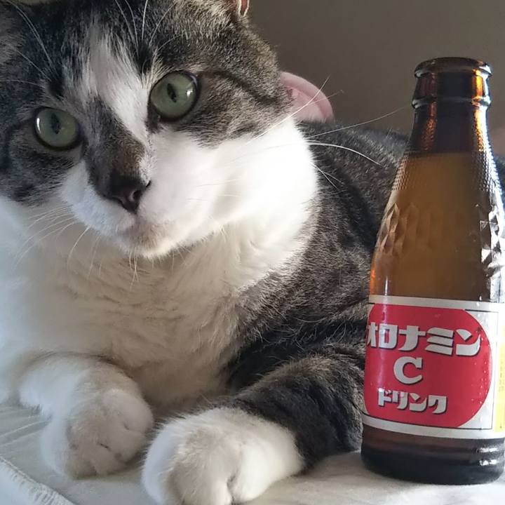 A0290467 a384 40e3 86b2 4f1de8f14f12 1627087308433