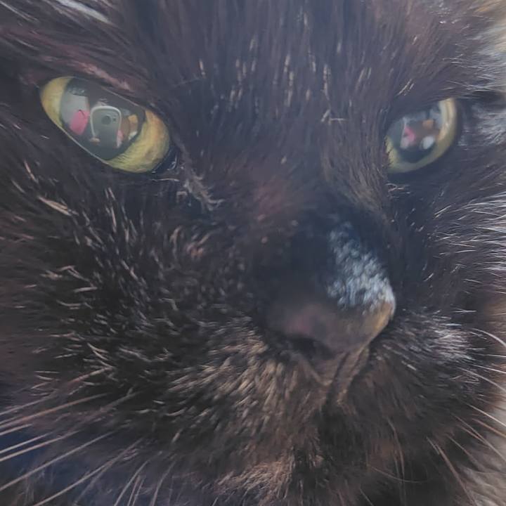 A029542f 001e 49b9 aff4 dd36750666fe 1729260586185