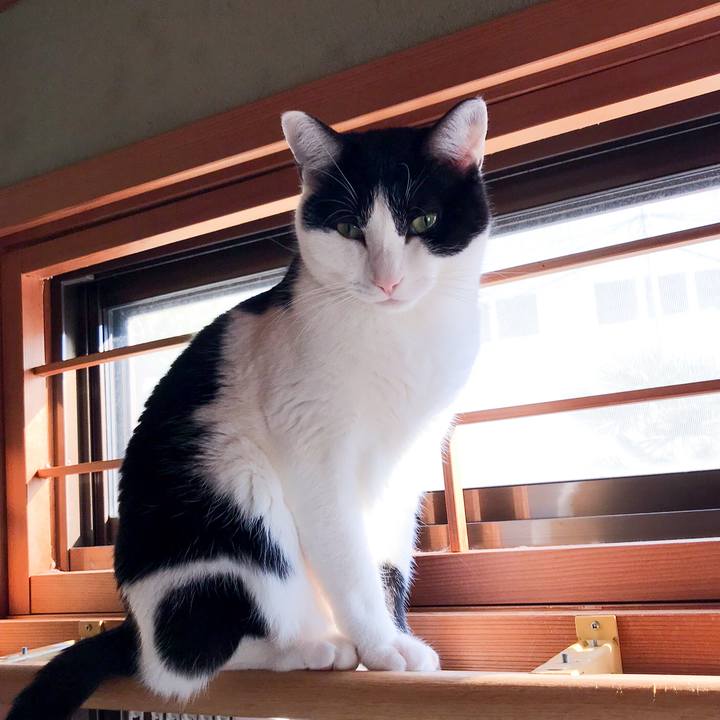 A029581d 84b0 4fef b8d5 283315a99b08 1514417994761