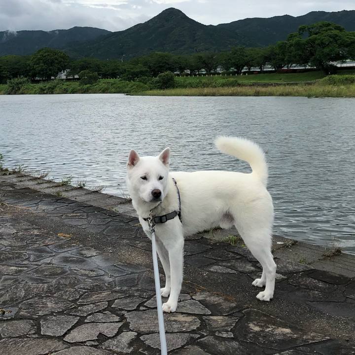 A02998a0 e344 4f32 8435 8133c56a9d81 1592004119822