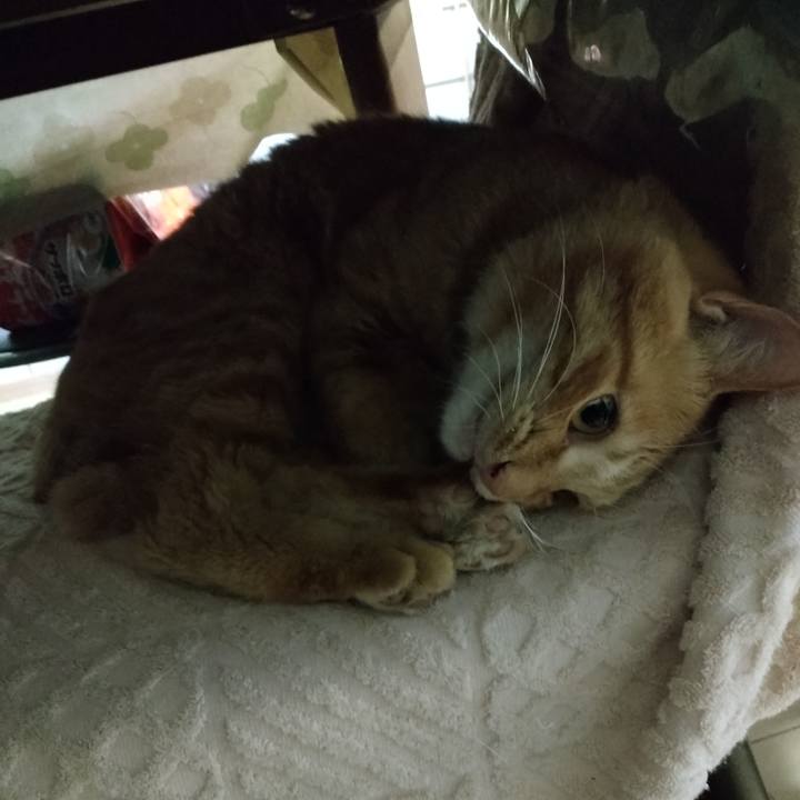 A029b3bc 9040 4478 befd 3ee7ad1433e8 1666780311765