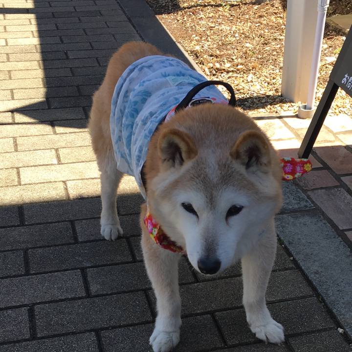 A029c7c3 3f9a 468b ab6d d05d4ccec359 1560673973591