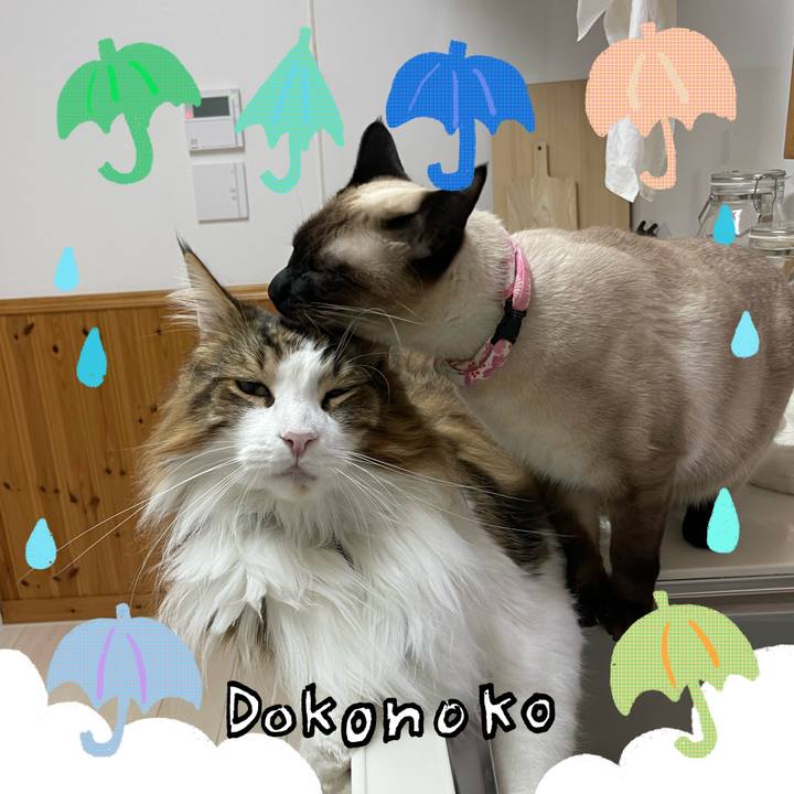 A029d380 9fdf 443d 975b c47cc8368afe 1717961935891