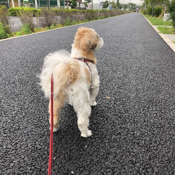 A029ed19 eb33 45a9 83c4 433c5fe69665 1560116512970