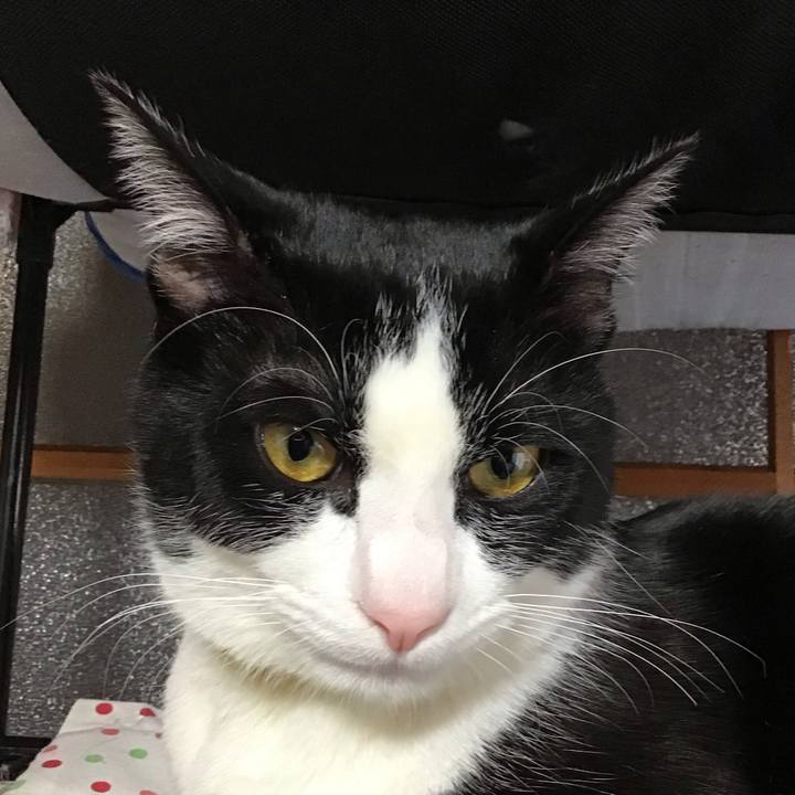 A02a3864 0a22 4c7b 8cf1 dfa750e08e0f 1647907479921