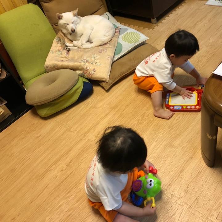 A02a428a c67a 4a03 9225 eefe870830df 1648899709451