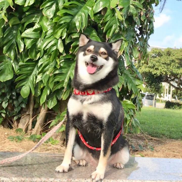 A02a5b2d aec0 42a1 9916 7d5c414fdc1f 1517563327789