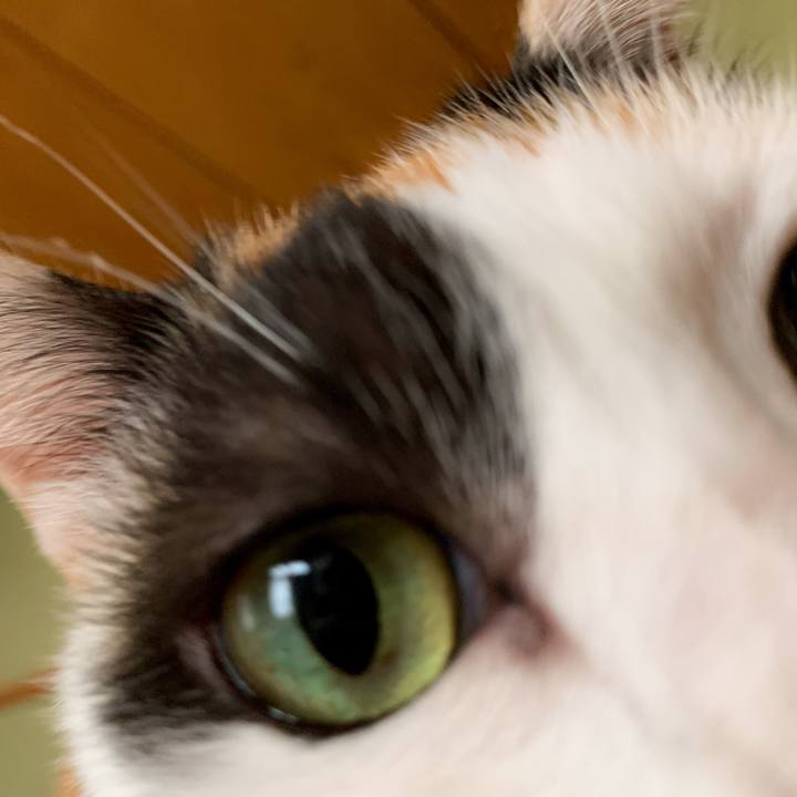 A02a69f3 0e89 47bc 8f3b fecdaac86f2a 1594432794306