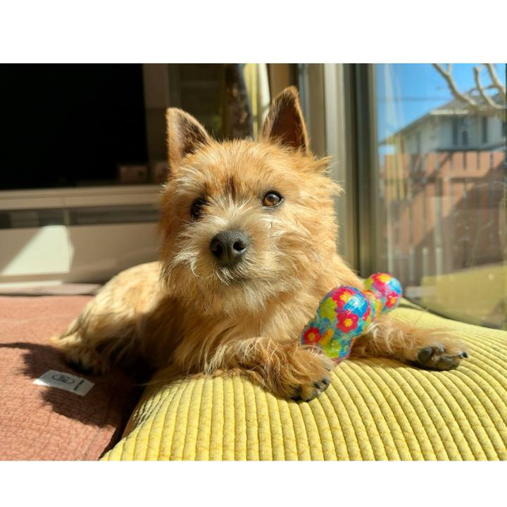 A02a95d4 41b9 4740 8a74 38ac55076fc5 1740839352128