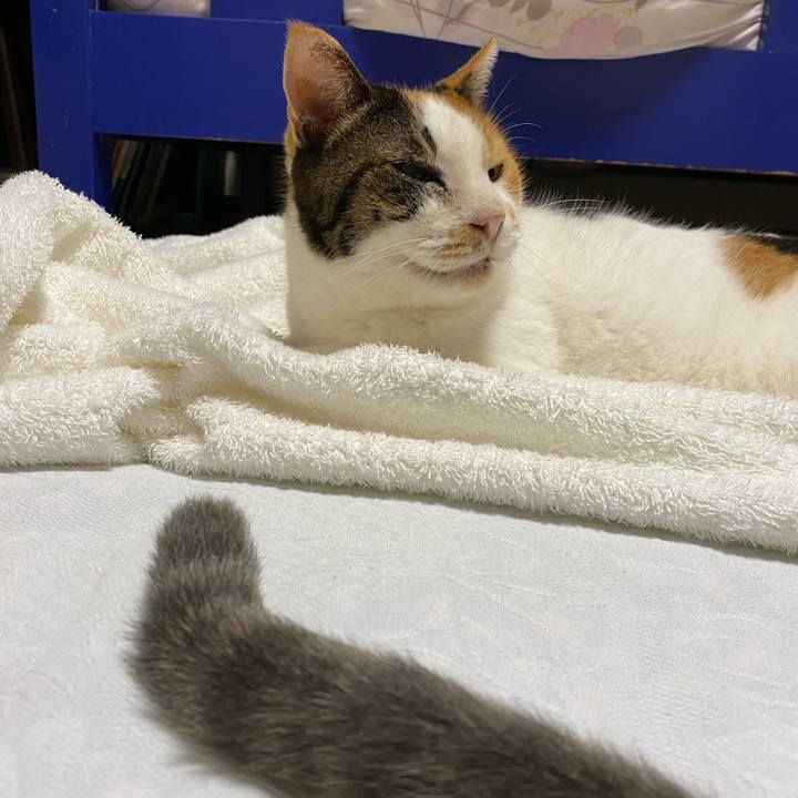 A02a9677 3077 4b38 803c ac56d76ebdf9 1599919081757