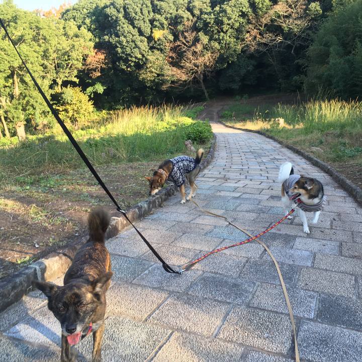 A02ab23d fb69 4a67 bb84 e5c986926ff9 1512859429728