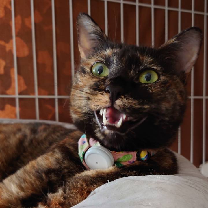 A02ab6d4 c751 4379 8182 883ad79eb678 1627964076471