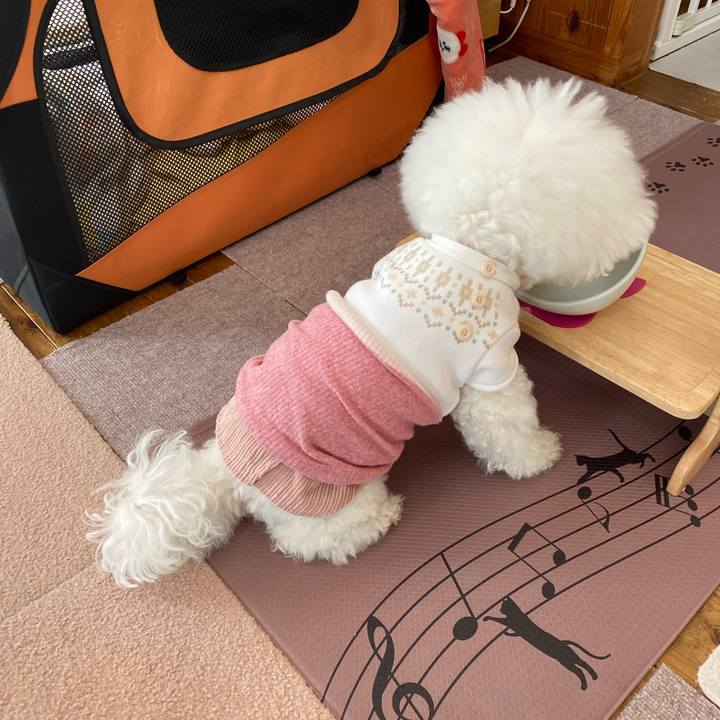 A02ab9e3 eabd 4af7 ae2e 799881e1bd53 1737082985467